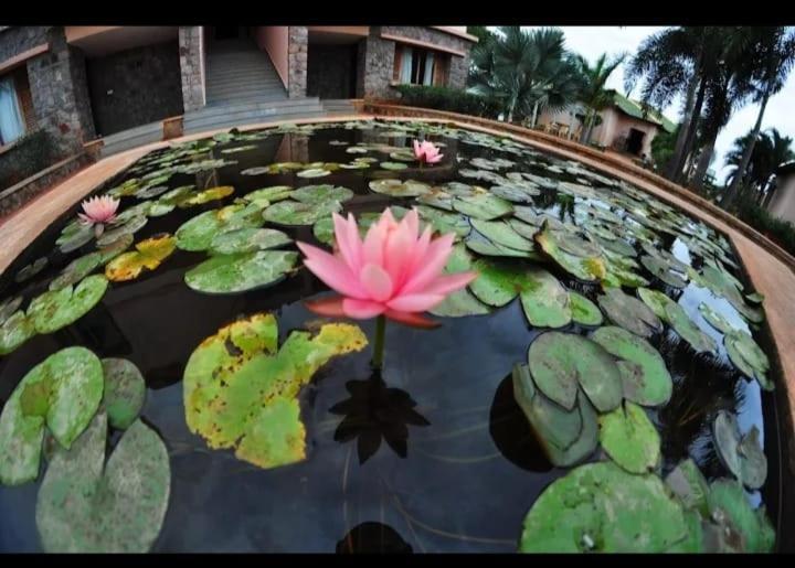 Krishna Heritage Resort Badami Eksteriør bilde